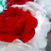 memo.m - @maha._.ismail - TikTok