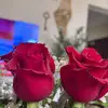 Mahakhalil - @mahakhalil92 - TikTok