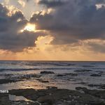 Maha Odeh - @odeh4113 - Instagram