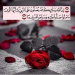 Maha Odeh - @mahajamalodeh - Instagram