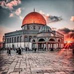 Maha Odeh - Facebook