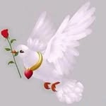 +218925635799 - @adoum__yacoub____mahamat - Instagram