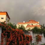 Maha Yacoub - @mahaluya - Instagram