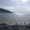 mahado ali - @mahadoali85 - TikTok