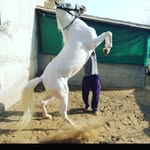 Mahammad Khan - @mahammad.khan.6738 - Instagram