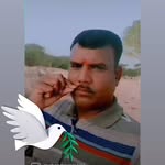 Mahendra Ram - @mahendraram103 - Instagram