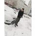 Maher Masri - Facebook