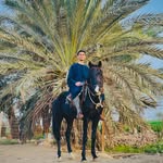 Mahmoud Zayed - @mahmoud_zayed_0 - Instagram