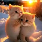 Mahmud Khan - Facebook