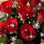Mahmud Khan - @mahmudkhan3667 - Instagram