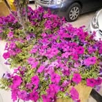 Mahmud Khan - Facebook