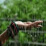 mahnaz hashemi - @hashemimahnazz - Instagram