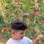 Mahnaz Hashemi 48 - @mahnaz_hashemi_2 - Instagram