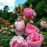 mahnaz.hashemi. - @mahnaz.hashemi.3 - Instagram