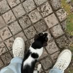 maHnOoR MaLiK - @squishiee_squash98 - Instagram