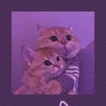 mahnoor malik - @mahnoor.malik.12 - Instagram