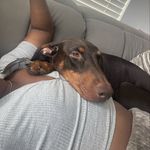 Naomi Mahogany Moore - @naomiunleashed_ - Instagram
