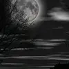 Mahtab_siddique5 - @mahtab_siddique5 - TikTok