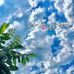 Mai Farag Al-shaary - Facebook