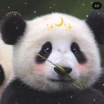 Ashley🐼 - @maifox_ - Instagram