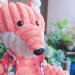 まい - @mai_fox_life - Instagram