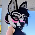 💖Mai💖 - @maifoxdog - Instagram