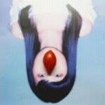Maigood OY - @maigood - Instagram
