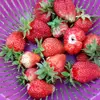 user4726460927501 - @greenmai - TikTok
