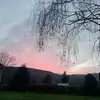 Erin_mai_grove - @erin_mai_grove - TikTok