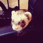Mai grove - @votehurly23 - Instagram
