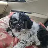 Mai Hart - @mai.heartt - TikTok