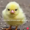 imasigmaihawktuah - @imasigmaihawktuah - TikTok