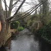 Maia Hicks - @maia_hicks - TikTok