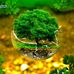 Maik Holt - Facebook