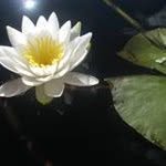 Mai Mach - @mai.mach - Instagram