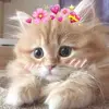 umaima ch - @umaima.ch67 - TikTok