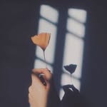 Mai Mosaad - @mai_mossad - Instagram