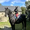Maïwenn - @mai.rider_4 - TikTok
