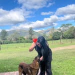 𝓜𝓪𝓲  𝓡𝓸𝓭𝓻𝓲𝓰𝓾𝓮𝔃 🫦 - @mairocio26 - Instagram