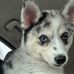 Maia Clements Walker - Facebook