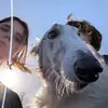 MaiWay - @maiway___ - TikTok