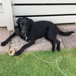 Ellie Mai Webster - @harrypotterfan_100 - Instagram
