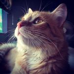 Mai Wise - @wisemai - Instagram