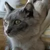 maiwiseezarti - @maiwiseezarti - TikTok