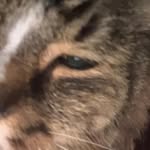 Maia Abbott - @abbottmaia42021 - Instagram