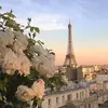 Berry.Maia.💗 - @berry.maia4 - TikTok
