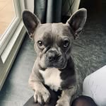 Maia Berry - @_maiaberry - Instagram