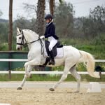 Maia Brown - @maiabd_dressage - Instagram