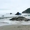 maia🤍 - @maia.brown33 - TikTok