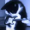 Maia Castillo - @maia.castillo86 - TikTok